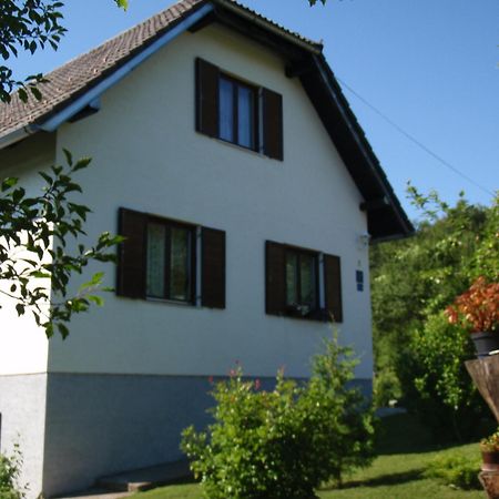 House Nina Apartment Poljanak Exterior photo