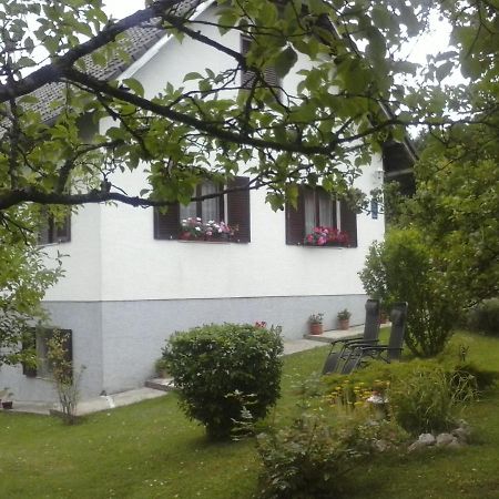 House Nina Apartment Poljanak Exterior photo