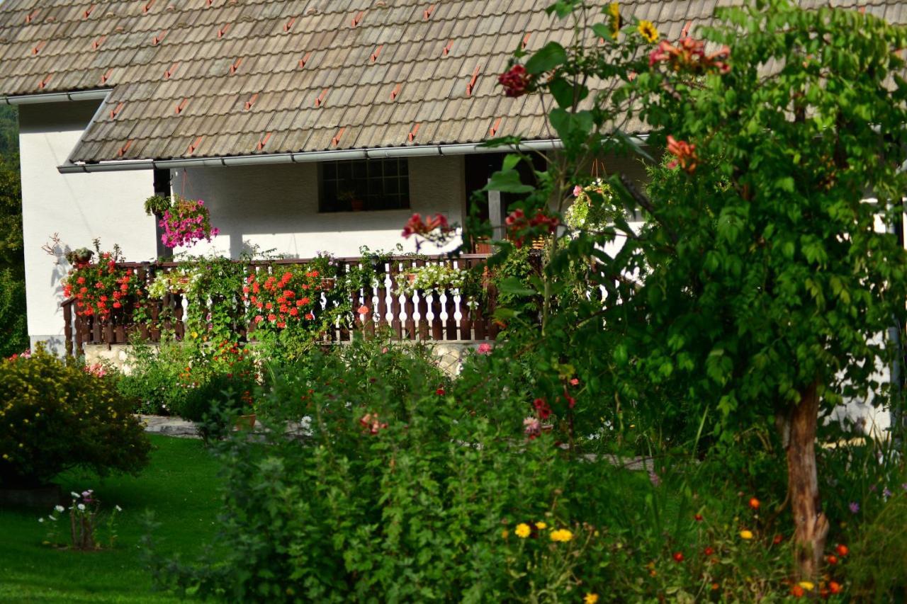 House Nina Apartment Poljanak Exterior photo