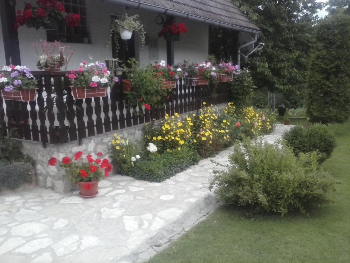 House Nina Apartment Poljanak Exterior photo