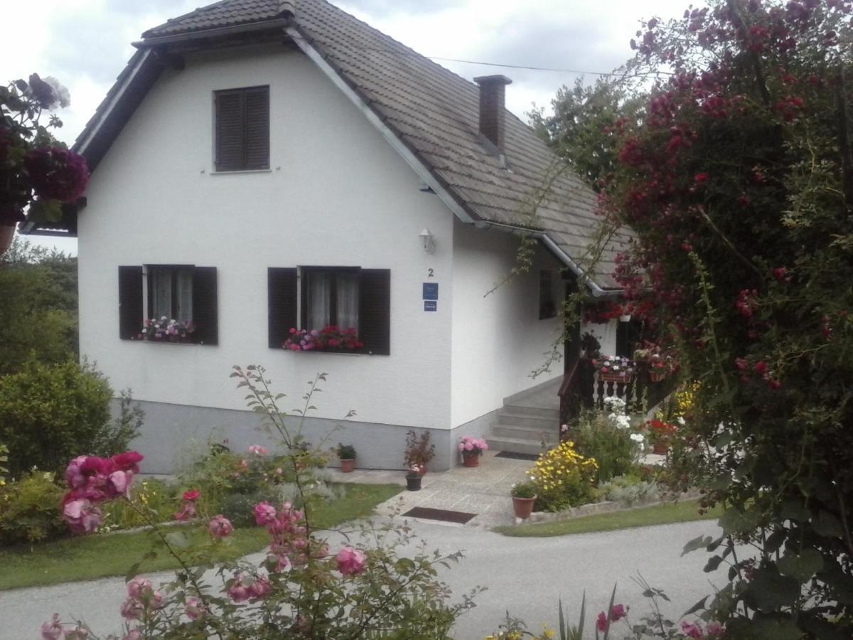 House Nina Apartment Poljanak Exterior photo