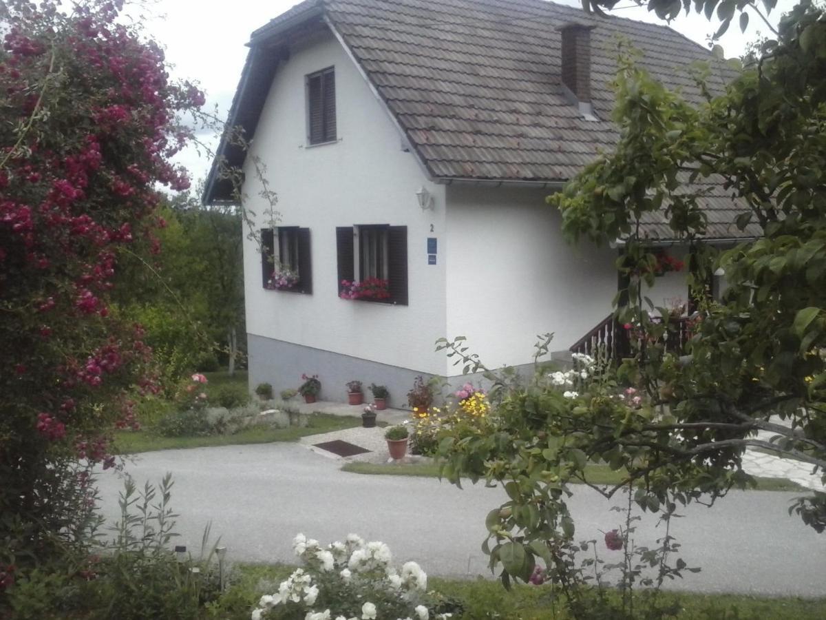 House Nina Apartment Poljanak Exterior photo