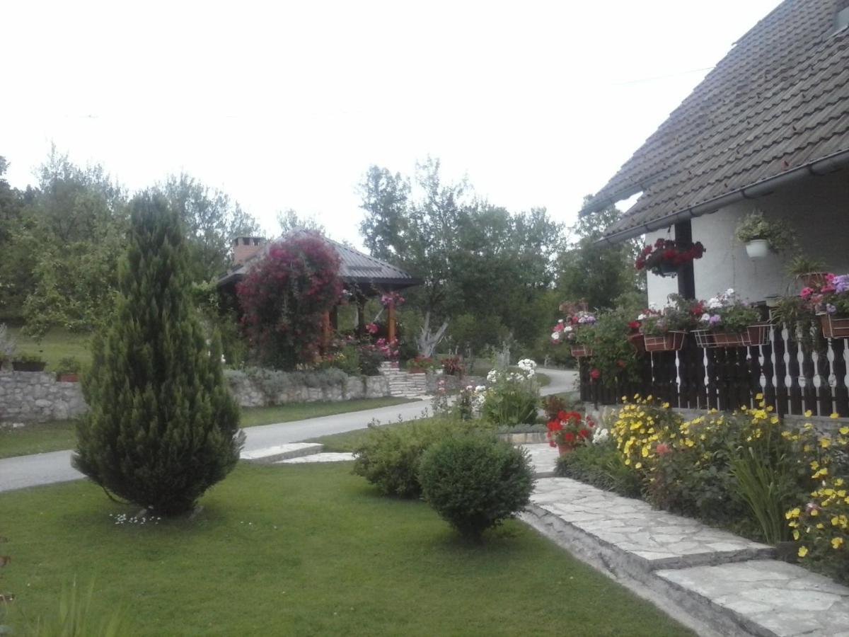House Nina Apartment Poljanak Exterior photo