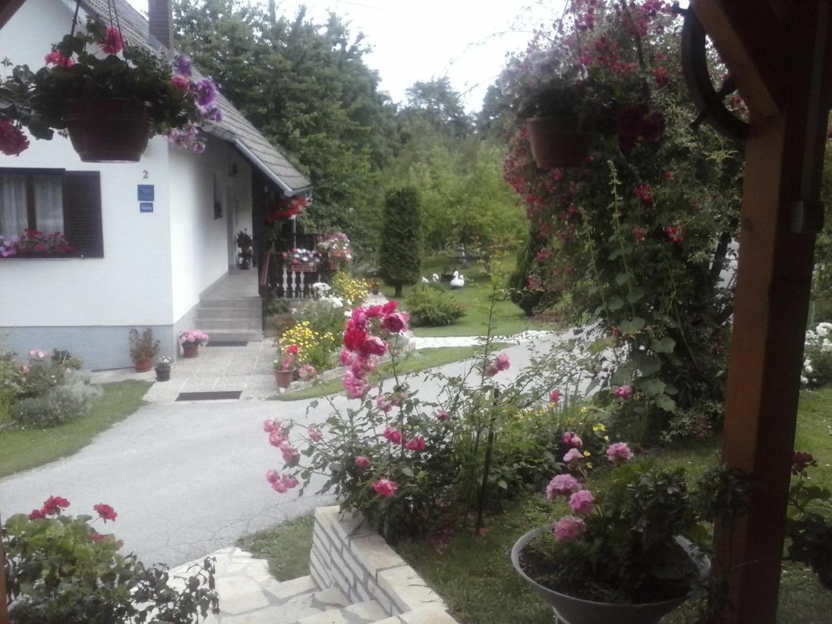 House Nina Apartment Poljanak Exterior photo