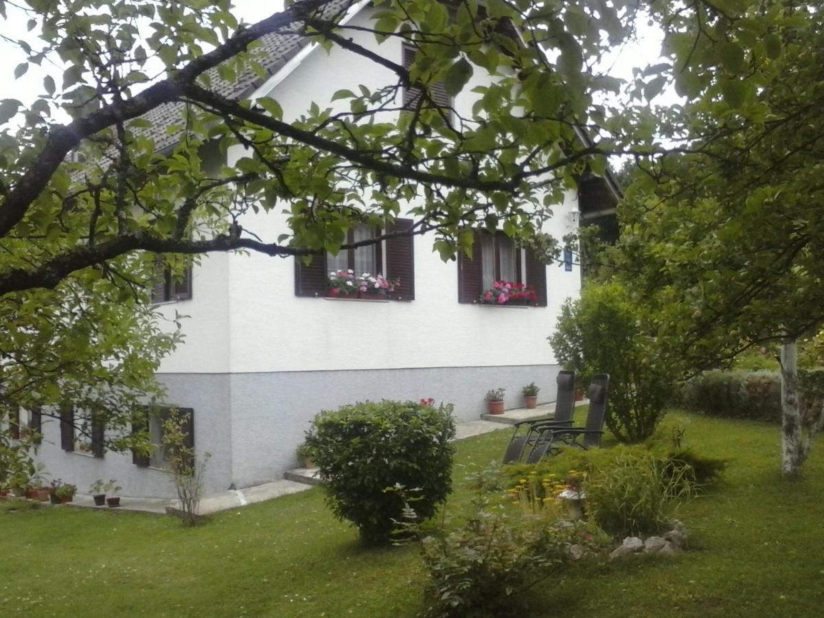 House Nina Apartment Poljanak Exterior photo
