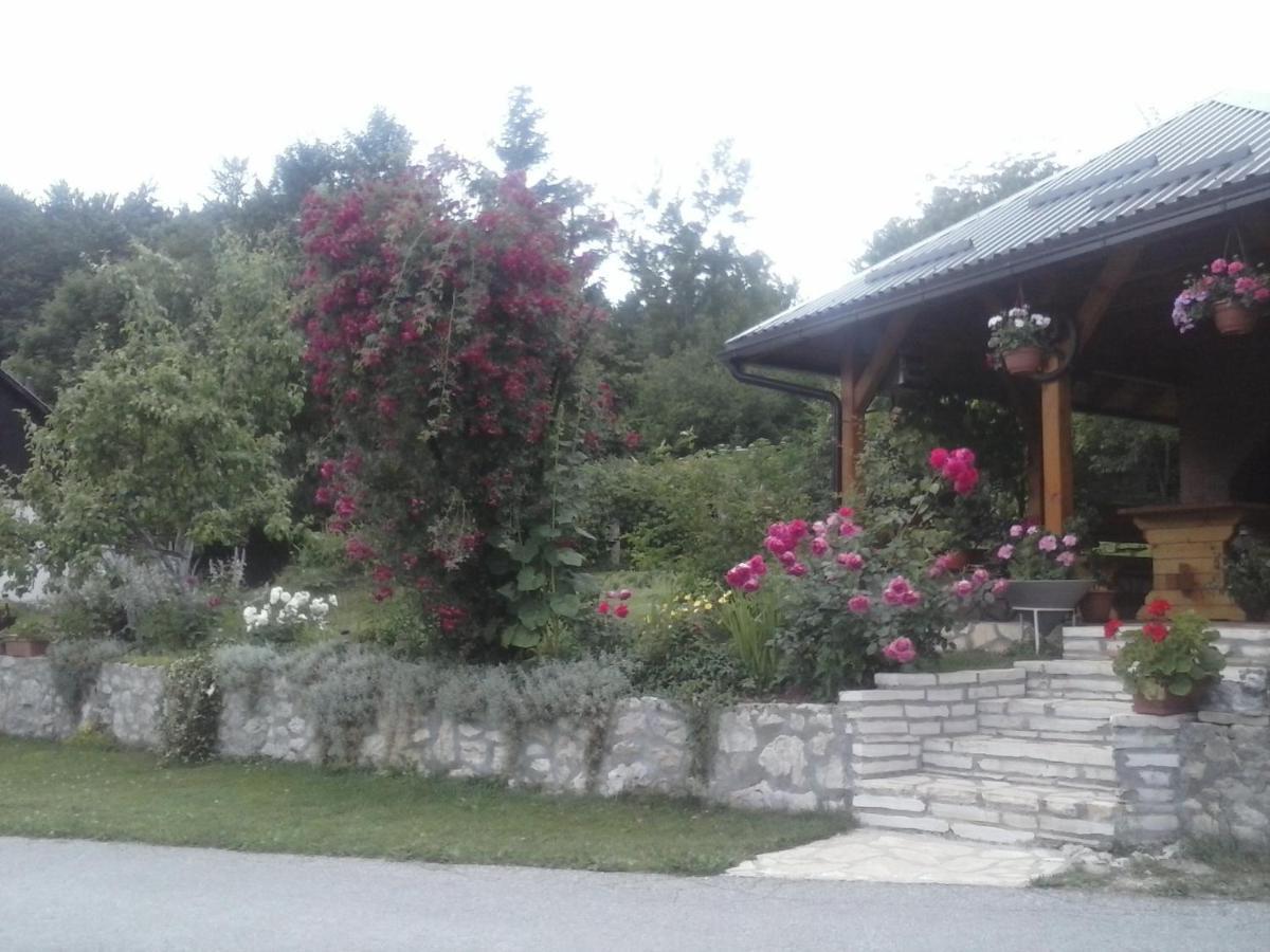 House Nina Apartment Poljanak Exterior photo