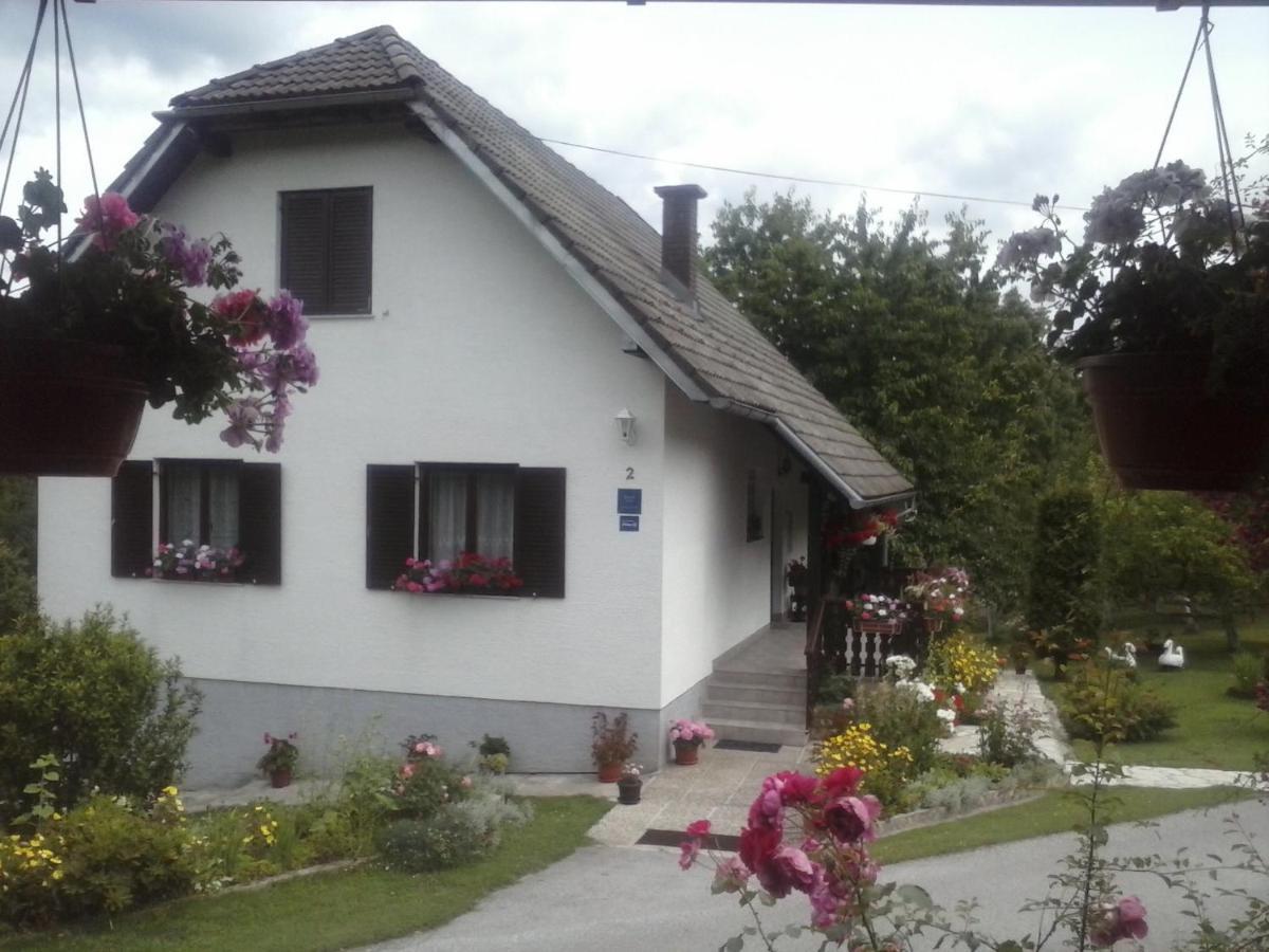 House Nina Apartment Poljanak Exterior photo